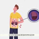 바이럴모션