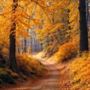 고충민원 행정사사무소 이미지