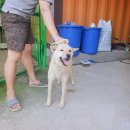 연진축산 이미지