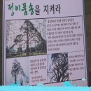 2015년 5월10일 전주금암교당 야회법회 속리산 국립공원,법주사,화양구곡 이미지