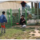 윤선생 애견훈련소 이미지