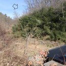 도리1리 이미지