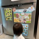 한글목장 | [내돈내산]20개월 쏠앤쌤 한글카드(+콩순이 자석, 아리아띠 사운드 자석)