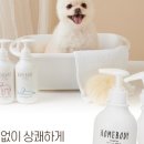 이오사슴 이미지