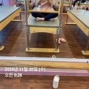 유난히 길었던 11월 일상