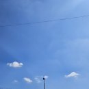 푸른하늘태권도장 이미지