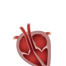 덕소동물병원 이미지