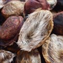 월인한의원 이미지