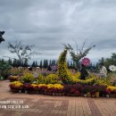 애니카랜드(오류점) | 벤츠E250 브레이크소음