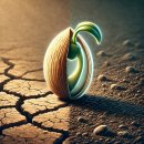 자라는 씨앗 이미지