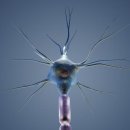 에코리움 이미지