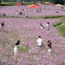 구례의 휴일 이미지