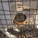 지인농장 이미지