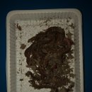 뚜루실내바다낚시터 이미지