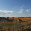 주홍목장 이미지