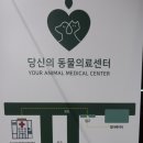 24시 당신의 동물의료센터 이미지