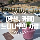 느티나무카페휴게식당 | [양산, 카페] 베이커리 정원뷰 대형카페, &lt;느티나무의 사랑&gt; 세번째 다녀왔어요. 2025.01.19