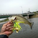 군위군소보면보건지소 이미지