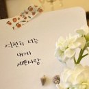 비비드오븐