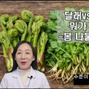 순수 한약국 이미지