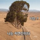 나는 자연인이다. 너는 ? 이미지