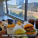 소랑제 돌담 | 제주 맛집 ㅣ 함덕해수욕장 근처 수제버거 맛집 ㅣ무거버거