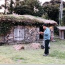 테마하우스민박 이미지