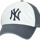 New York Yankees Twins Enterprises &#34;Hall of Famer Franchise&#34; 이미지