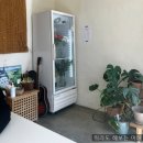 피어나플라워 - 서구 검단로744번1길 25 | 대구 동대구터미널 근처 카페 피어나플라워카페 내돈내산 후기