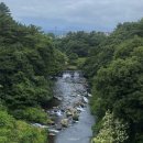 서귀교 | 뚜벅이 여자 혼자 떠난 7박8일 제주도 여행기 [남쪽편1; 올레 여행객이 선정한 최고의 올레길 7코스를...