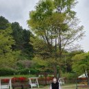 춘천요양병원 이미지