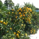 유석농장 이미지