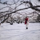 한별목장 이미지