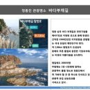 정동진 솔라뷰 호텔 앤 리조트 네이버블로그