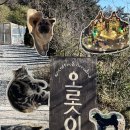 삼교리 화장실 | 오롯이 (강릉 주문진 근처 카페/ 나만 알고 싶은..)