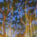 인성정신건강의학과의원 이미지