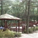 솔마루길 대공원산 이미지