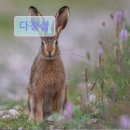 다경인테리어 네이버블로그