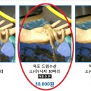 목포수산물드림 이미지