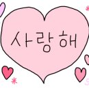 오늘도 뽀송하개 이미지