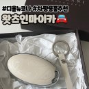 마이카샵 | 왓츠인마이카, 디올뉴코나 차꾸 차량용품 추천(내돈내산 후기) 1탄