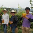 화양면사무소 이미지