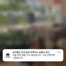 사랑과행복결혼상담소 | [9月]순간들이 모여 삶은 반짝이는 보물이 된다