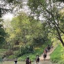 기량축산 이미지