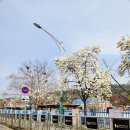 강동로4-4 이미지