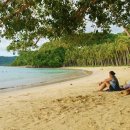 코롱코롱 이미지