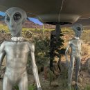 my drink museum 이미지