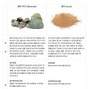 엘샤론 코리아 - 양산시 | 엘샤론 코리아