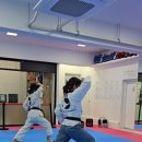 고려 태극태권도장 이미지