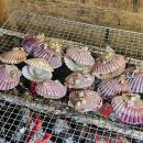 펜션 젤코바 이미지